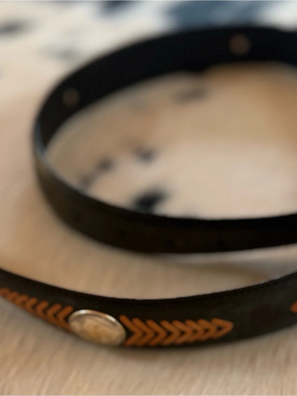 Resistol Black Leather Belt with Brown Braided Inlay and Silver Conchos